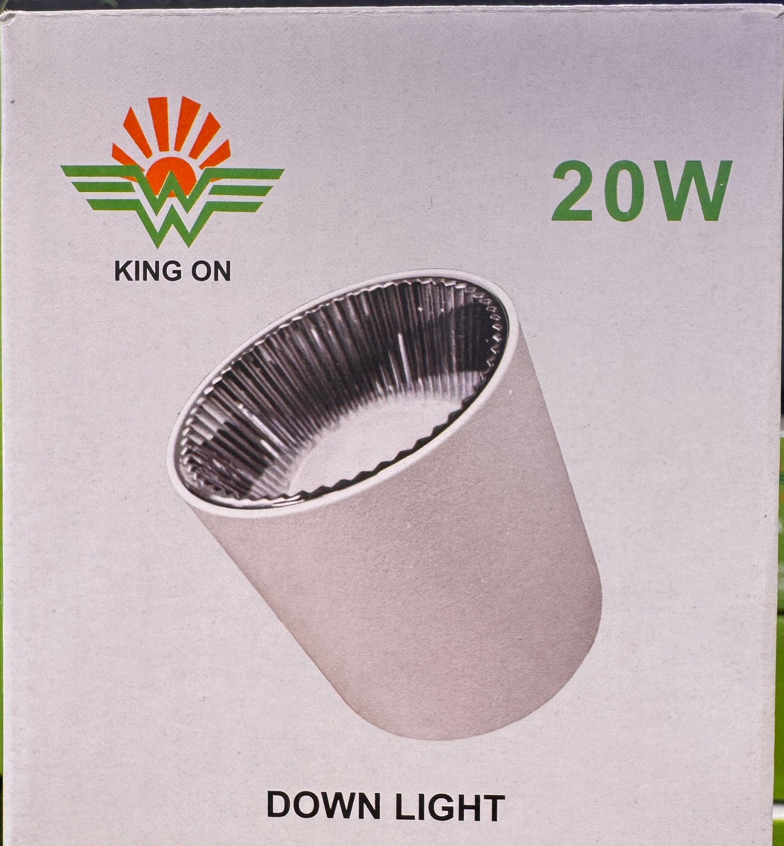 DOWM LIGHT K62021 view 5